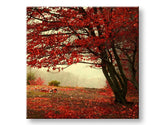 Wall painting TREES Discount 60 % 50X50 cm